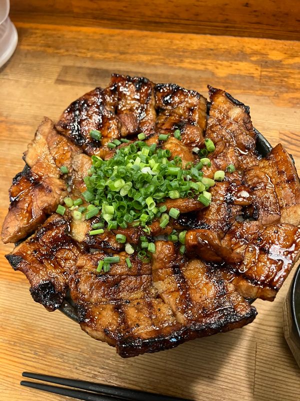 日本・静岡県「関東・東海エリア＋福島県青春18きっぷの旅」の写真：【撮影場所】
東京都 千代田区 豚野郎
...