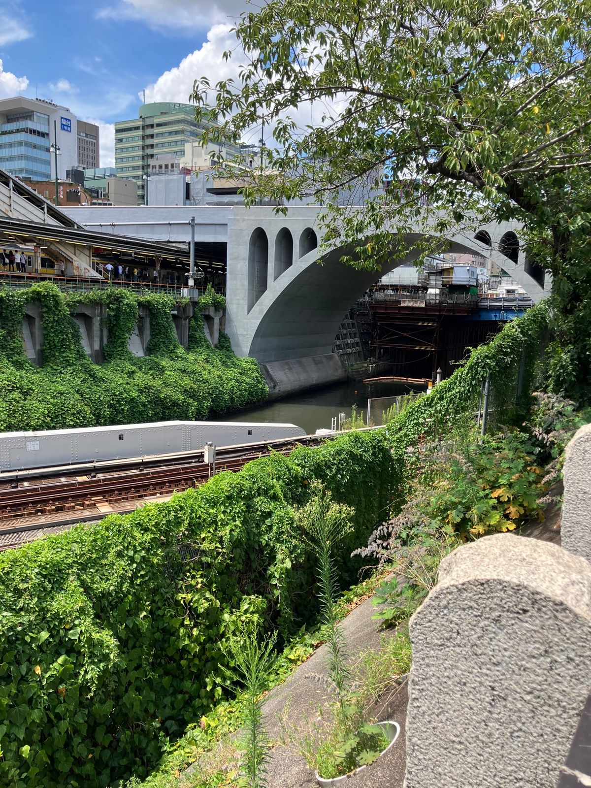 【撮影場所】
東京都 千代田区 聖橋

【住所】
東京都千代田区神田駿河台...
