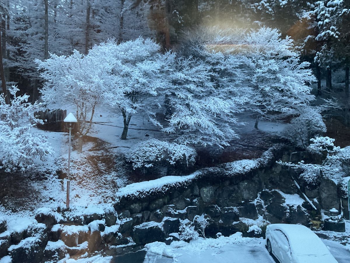 長野旅行時の宿に泊まった時の写真です。