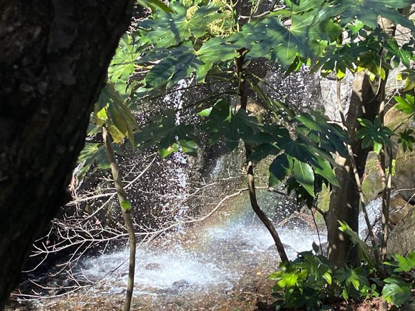 日本・静岡県「熱海家族旅行」の写真