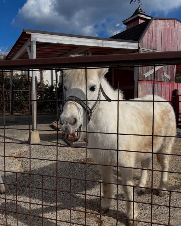日本・静岡県「熱海家族旅行」の写真