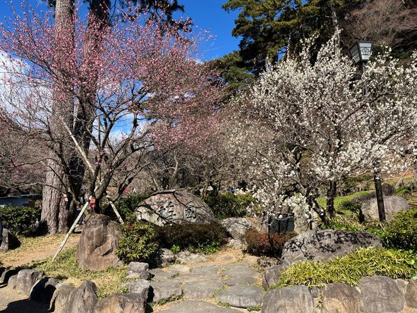 日本・静岡県「熱海家族旅行」の写真