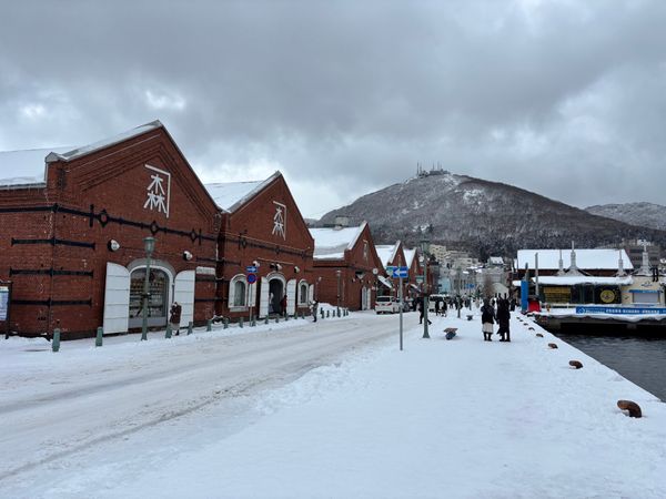 日本・北海道「函館」の写真：景色最高