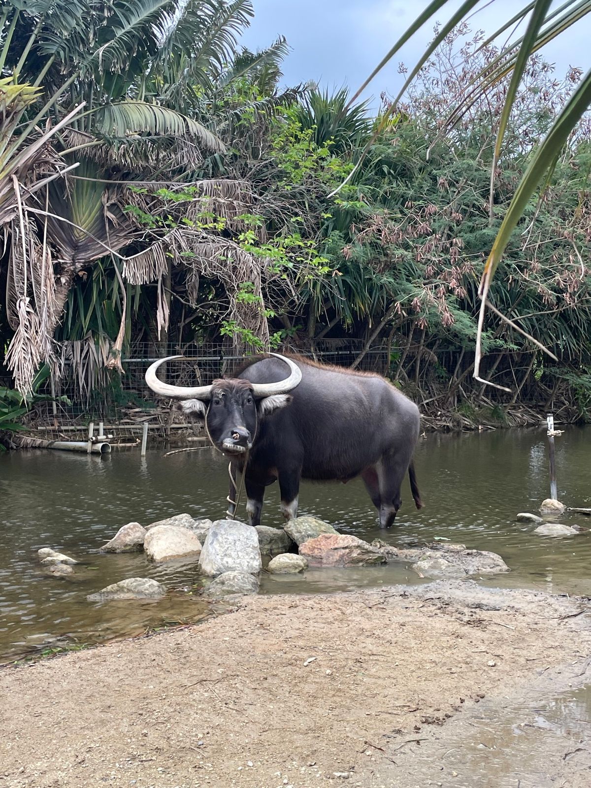 もっと晴れてたらなぁ