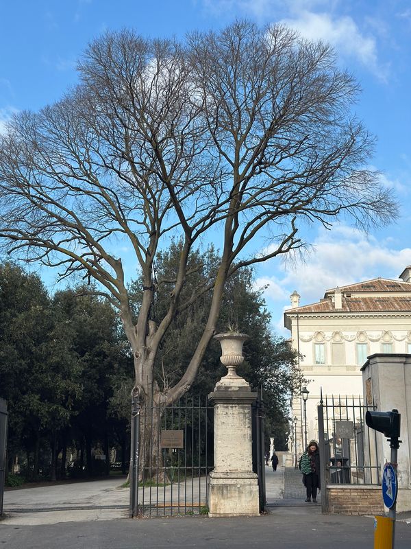 アラブ首長国連邦・ドバイ「イタリア　ドバイ　2025.02」の写真