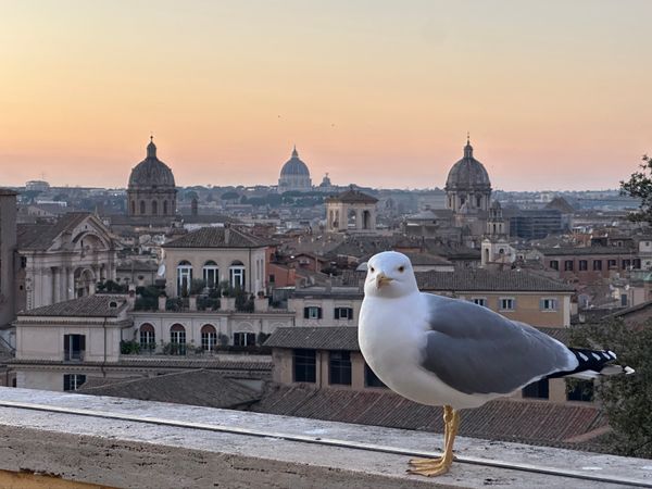 アラブ首長国連邦・ドバイ「イタリア　ドバイ　2025.02」の写真