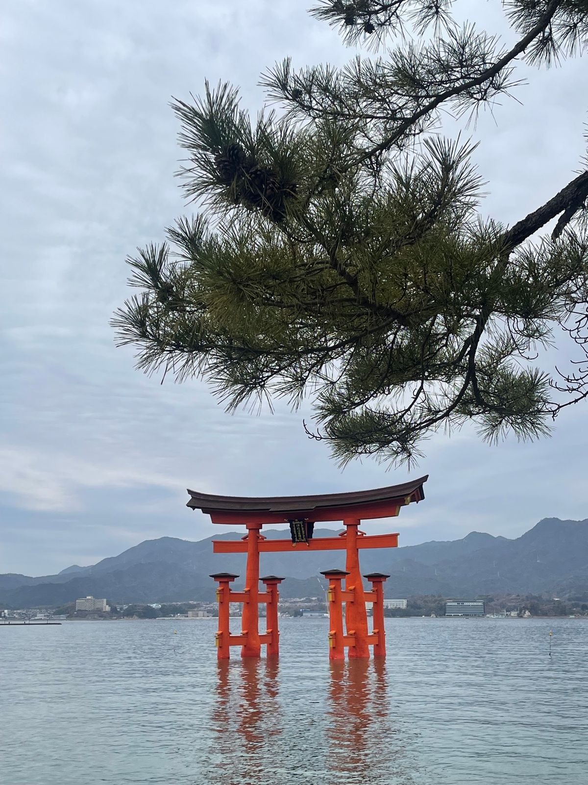 宮島 厳島神社です！