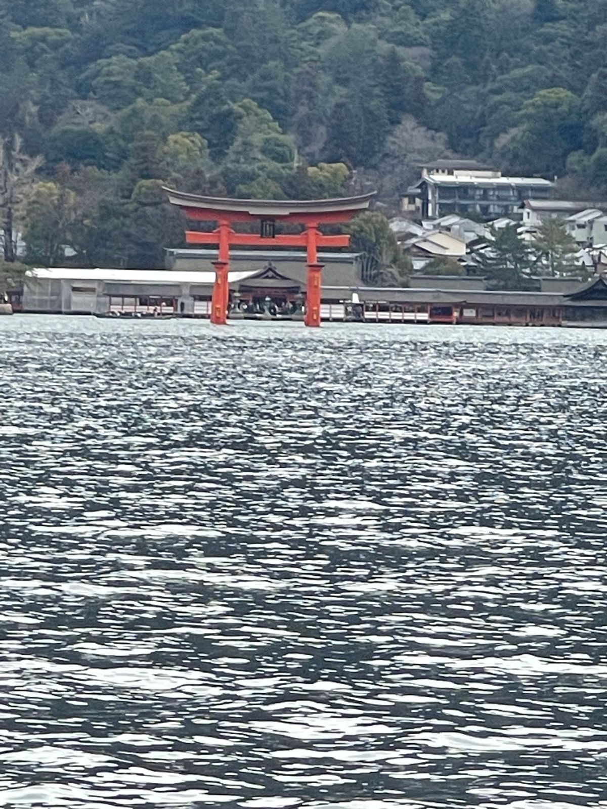 宮島 厳島神社です！