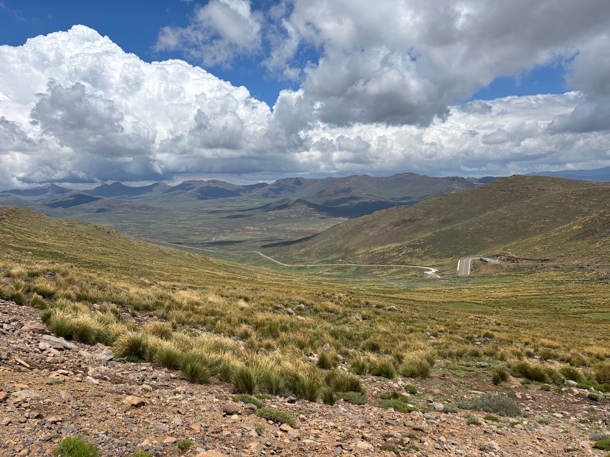 レソト側の景色　羊🐏とヤギ🐐がたくさん