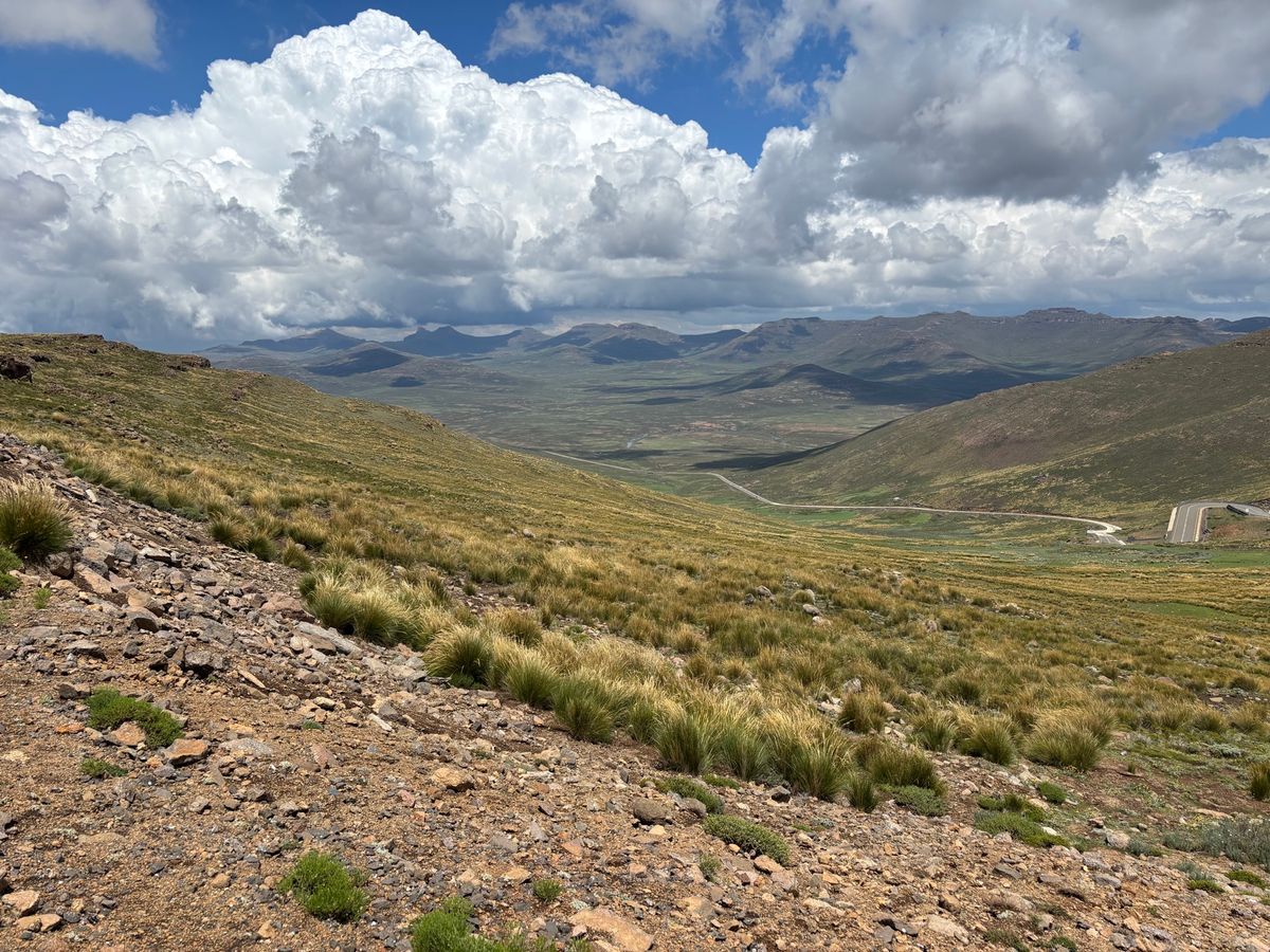 レソト側の景色　羊🐏とヤギ🐐がたくさん