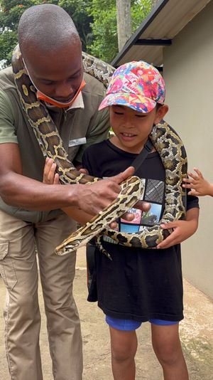 サファリの待ち時間でワニ園とズールーダンスショーを見ました