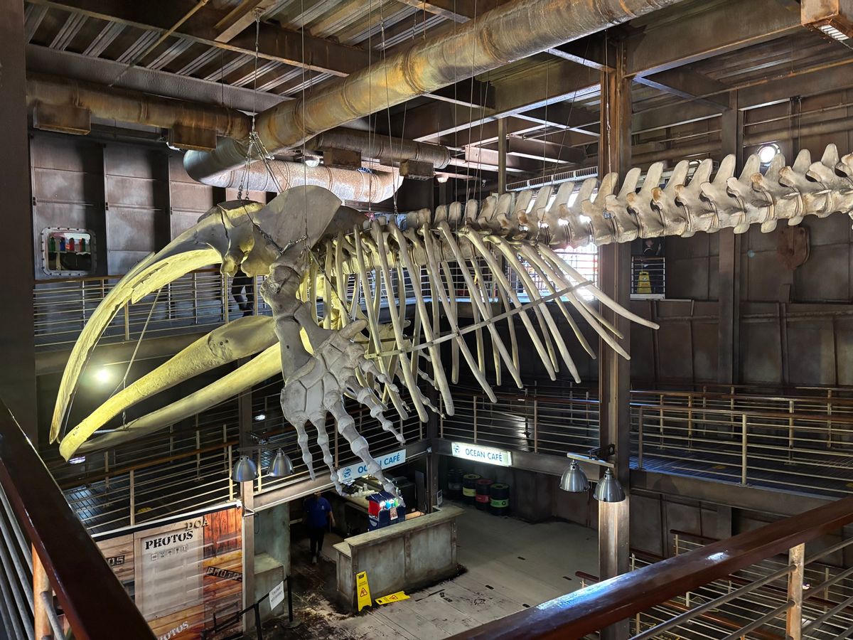 水族館だけでなくプールもある