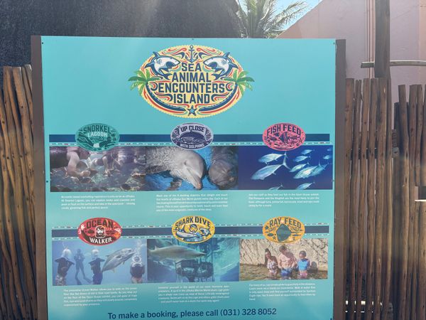 南アフリカ・ウシャカ・マリーン・ワールド「ウシャカ・マリーン・ワールド」の写真：水族館だけでなくプールもある