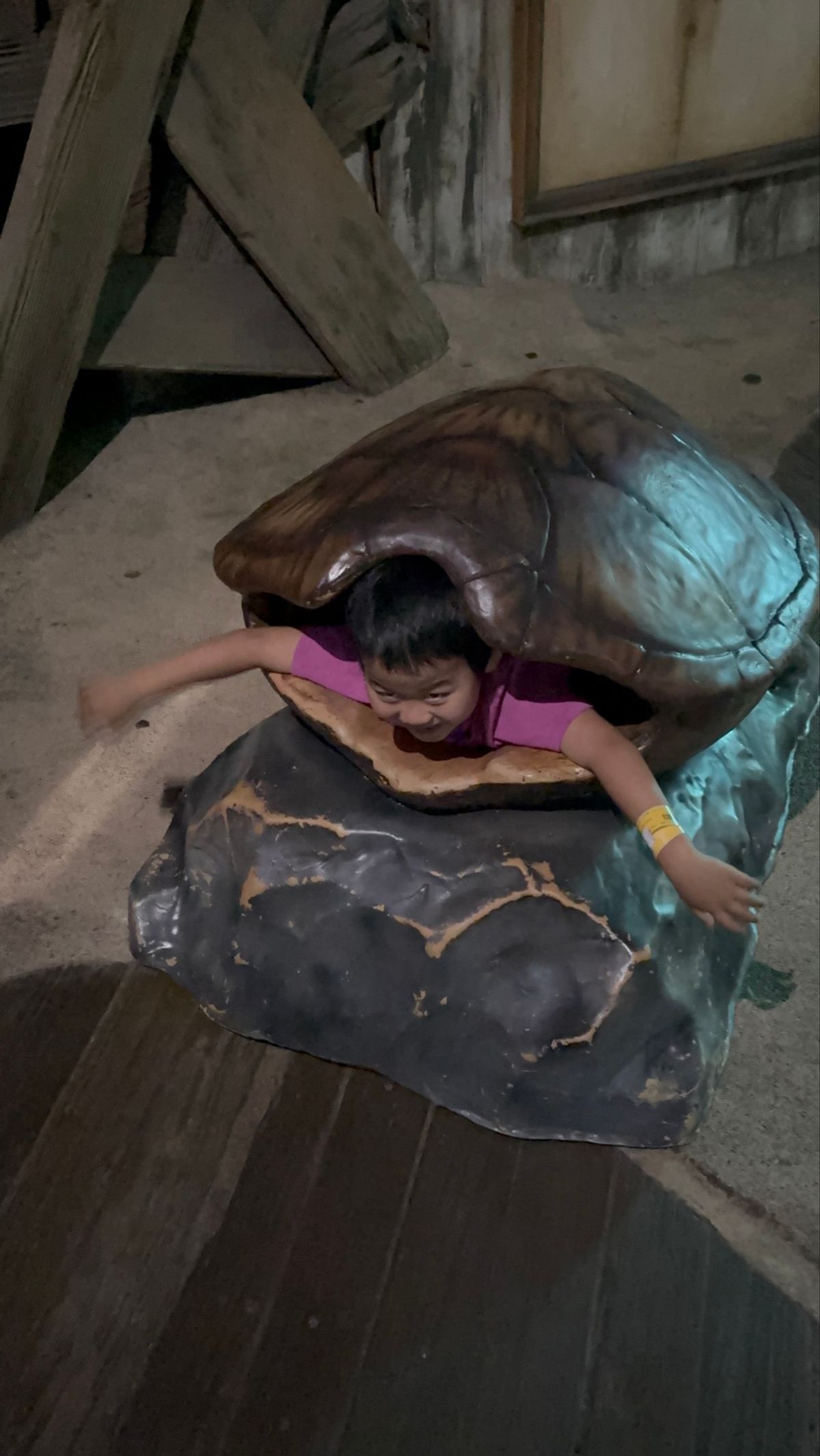 水族館だけでなくプールもある