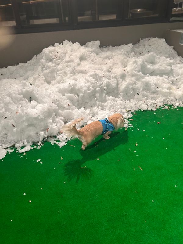 日本・栃木県「那須塩原」の写真