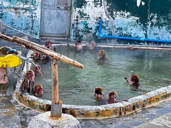 日本・函館「函館旅行」の写真