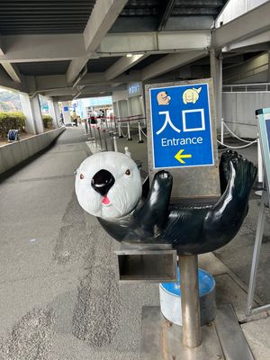 鳥羽水族館🦦

ラッコちゃん可愛すぎた👼💕