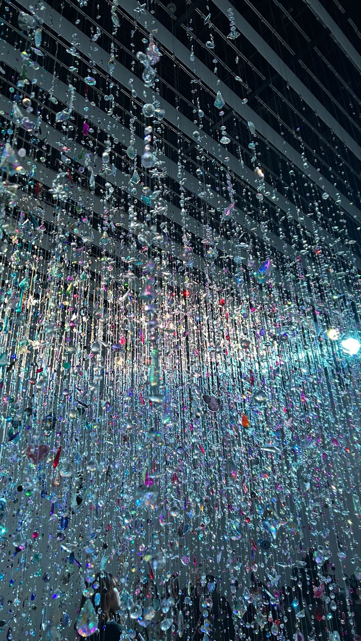 蜷川実花展🌼

好きがいっぱい詰まってた。