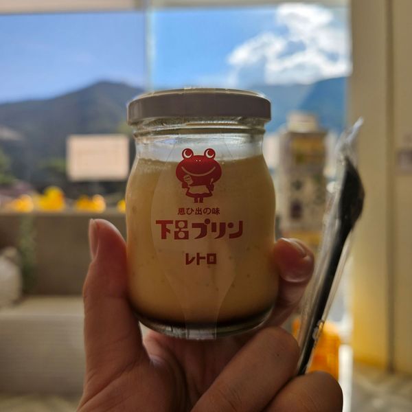 日本・下呂温泉「下呂温泉旅行」の写真：下呂プリン