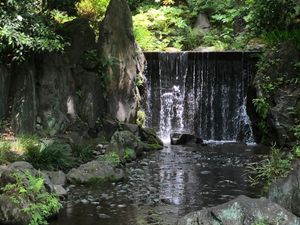 都会の中のオアシス