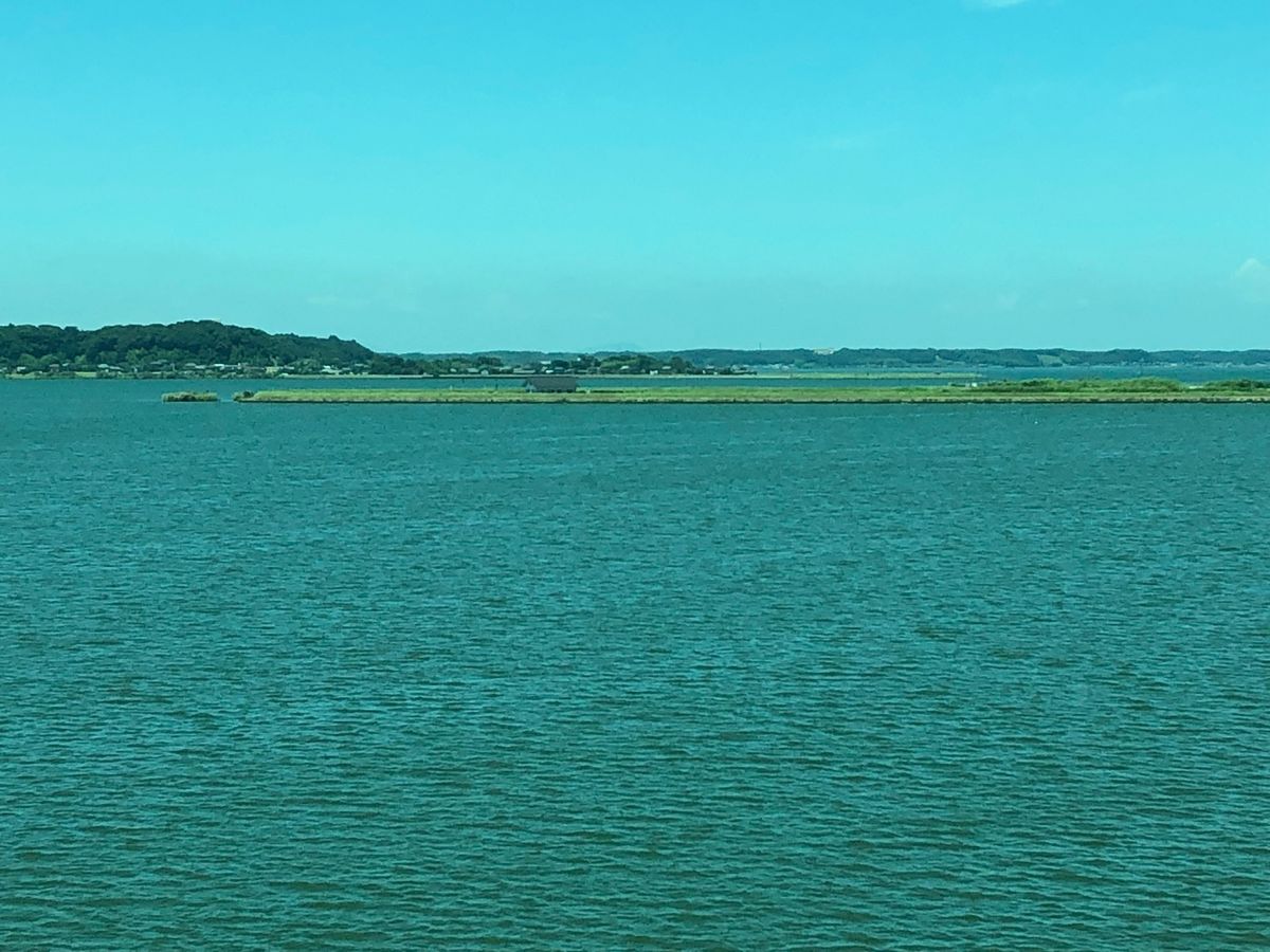 鰻の写真はなかった