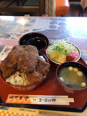 あちらこちらに恐竜が