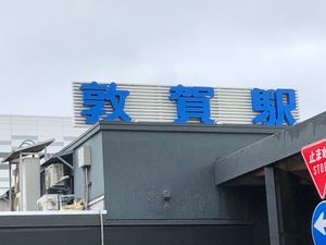 あちらこちらに恐竜が