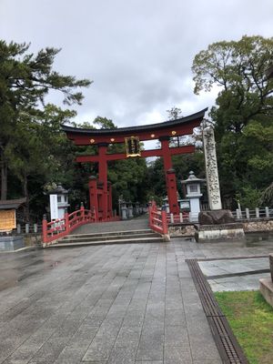 あちらこちらに恐竜が