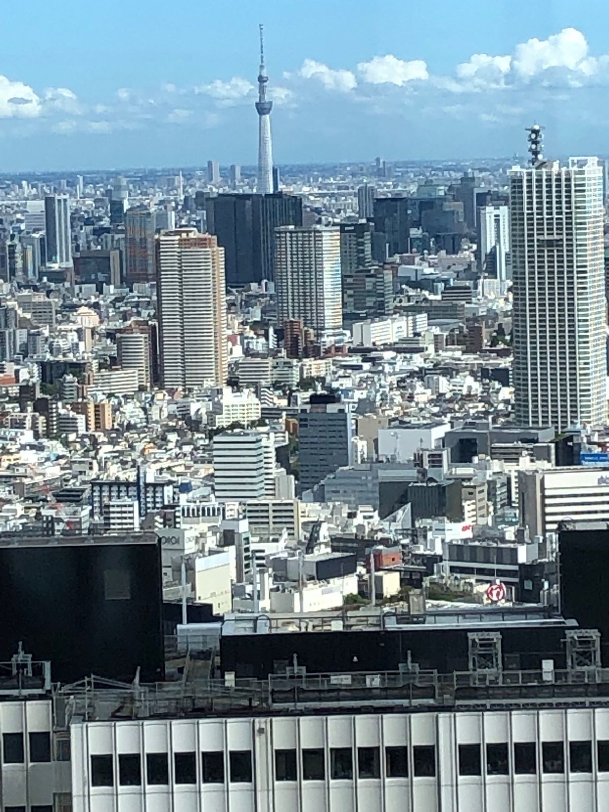 東京メトロのフリーパス旅行
