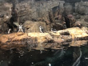 東京メトロのフリーパス旅行