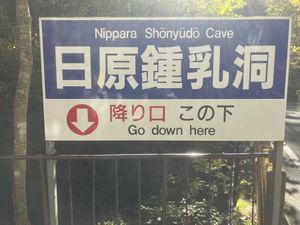 JR東日本の休日フリーパスお得すぎ！！
奥多摩駅まで3000円しないで行け...