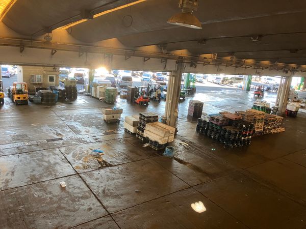 日本・神奈川県「小田原」の写真：小田原市内しゃぶりつくしたかな？