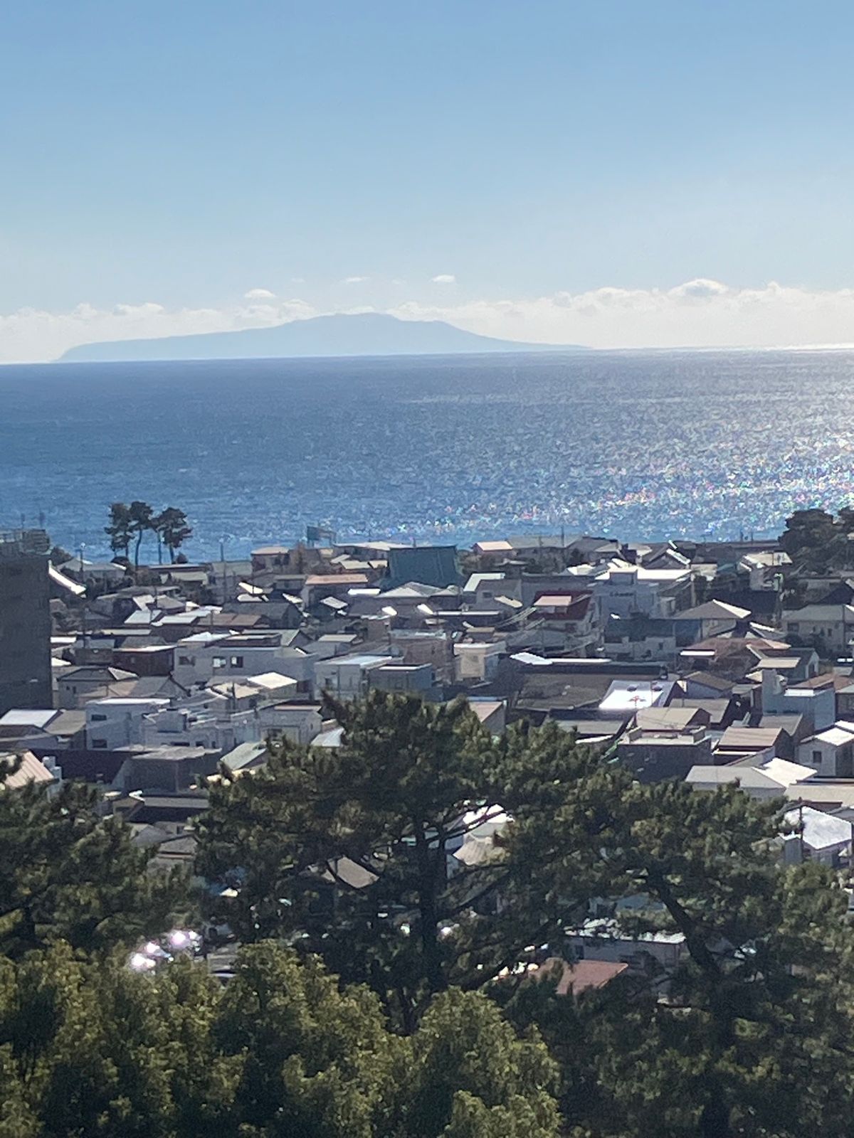 小田原市内しゃぶりつくしたかな？