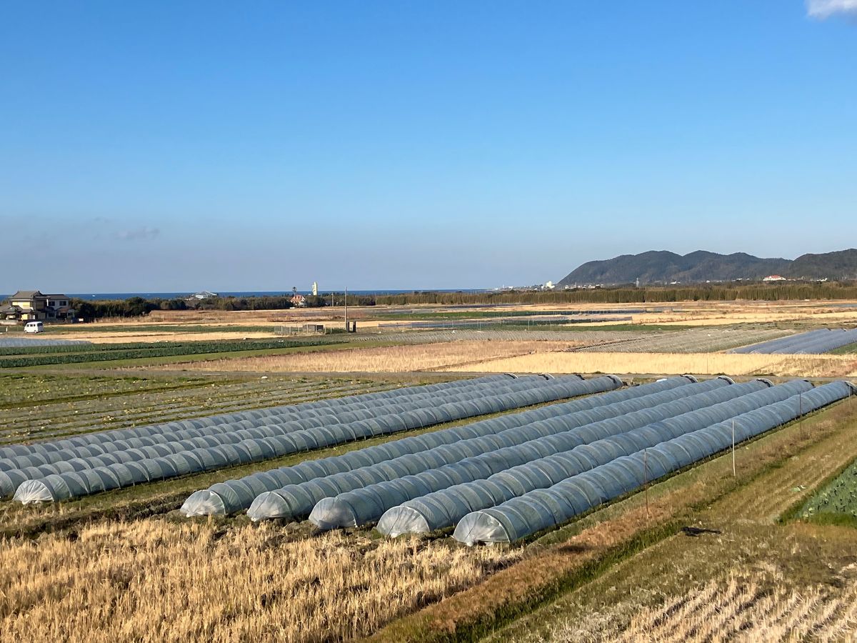 時間なくて勝浦と野島先灯台、洲崎神社は行けてない。
必ずリベンジする！！
