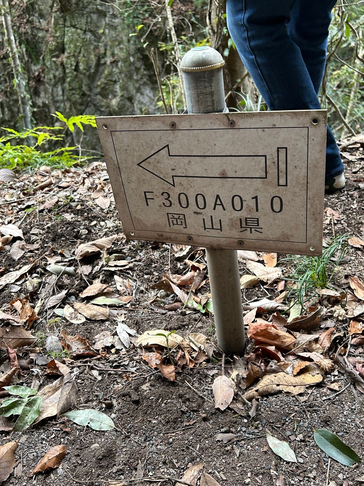 すごいトンネル