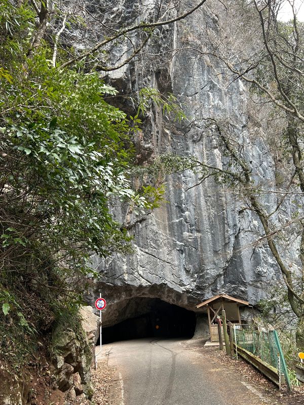 日本・岡山県「鷲羽山へ」の写真：すごいトンネル