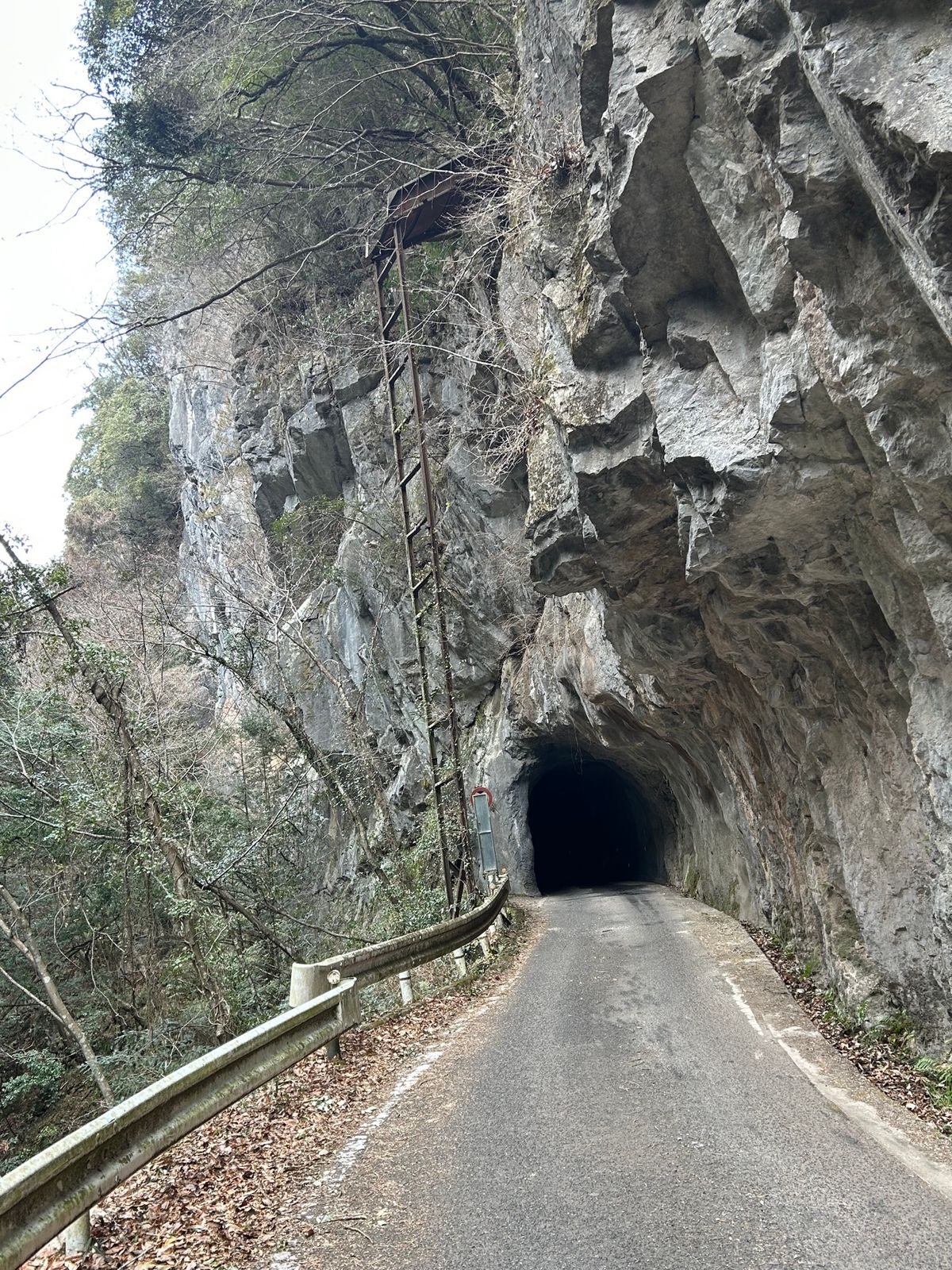 すごいトンネル