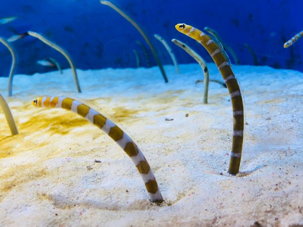 日本・宮城県「宮城旅行」の写真