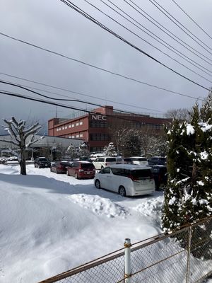 すごい雪でした
