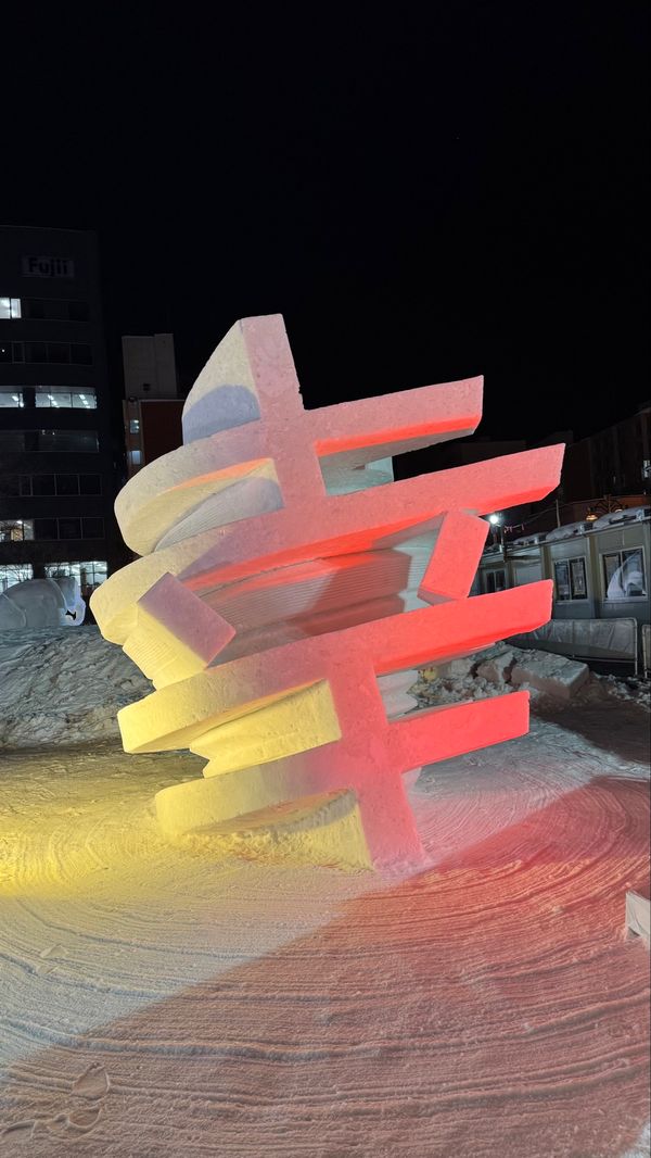 日本・北海道「北海道はでっかいどう」の写真：冬は雪が降っとるところに行くと決めた瞬間‼️