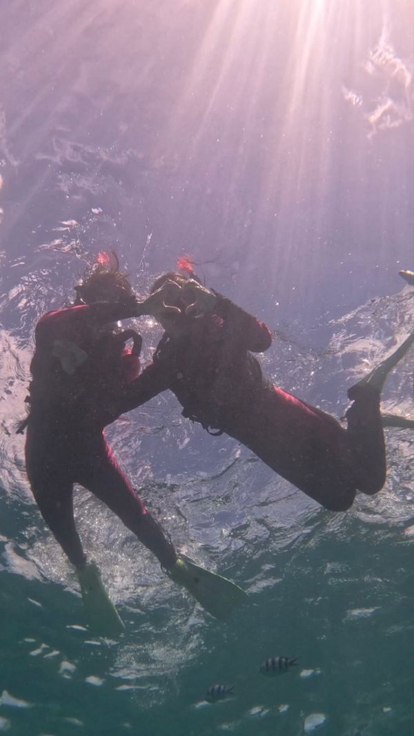 日本・石垣島「台風直撃雨女激闘の沖縄旅行2024」の写真