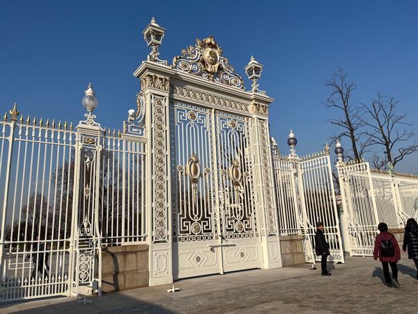 日本・東京「東京旅行」の写真