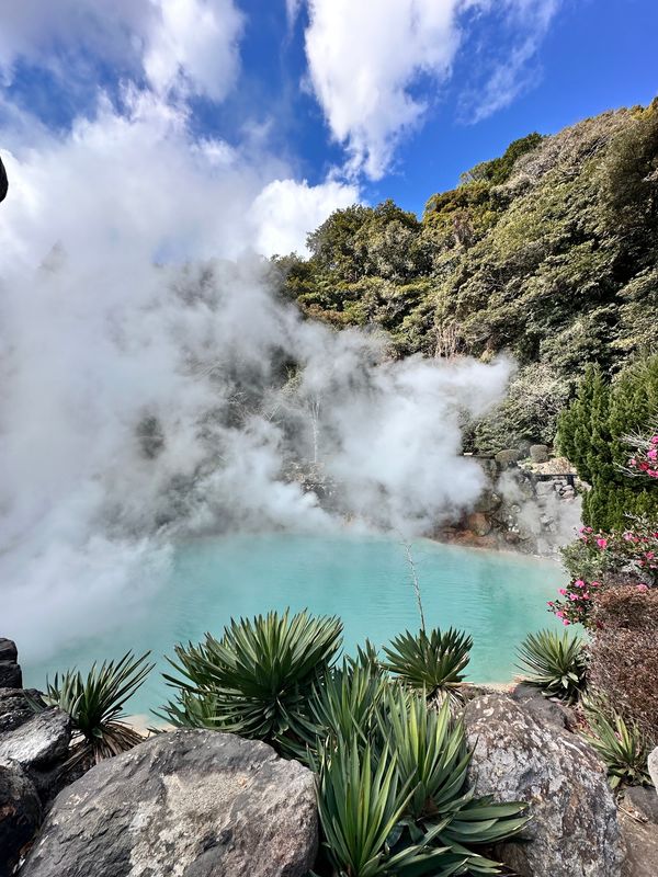 日本・別府「博多・別府たび」の写真：大分　地獄谷めぐり