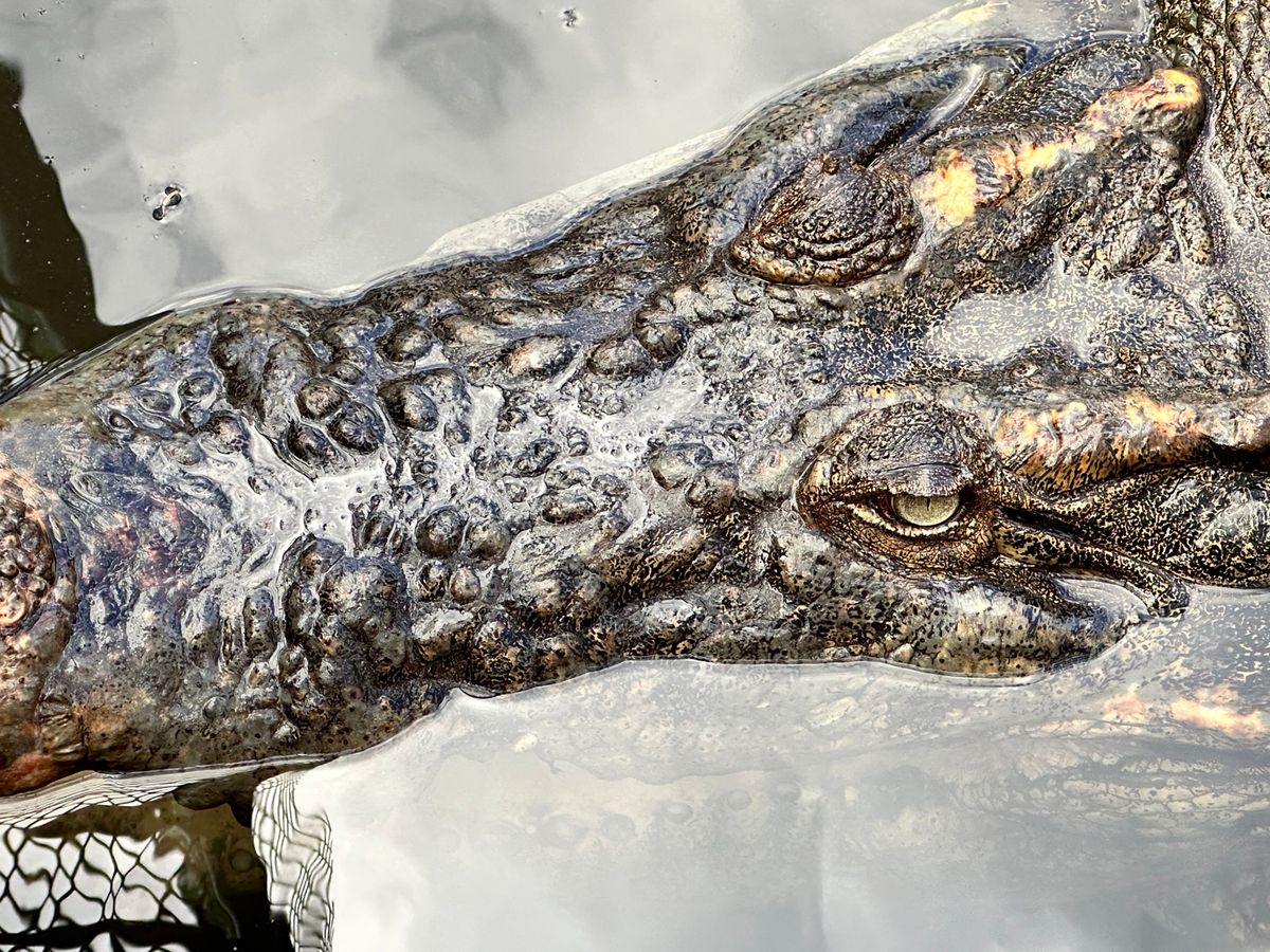 大分　地獄谷めぐり