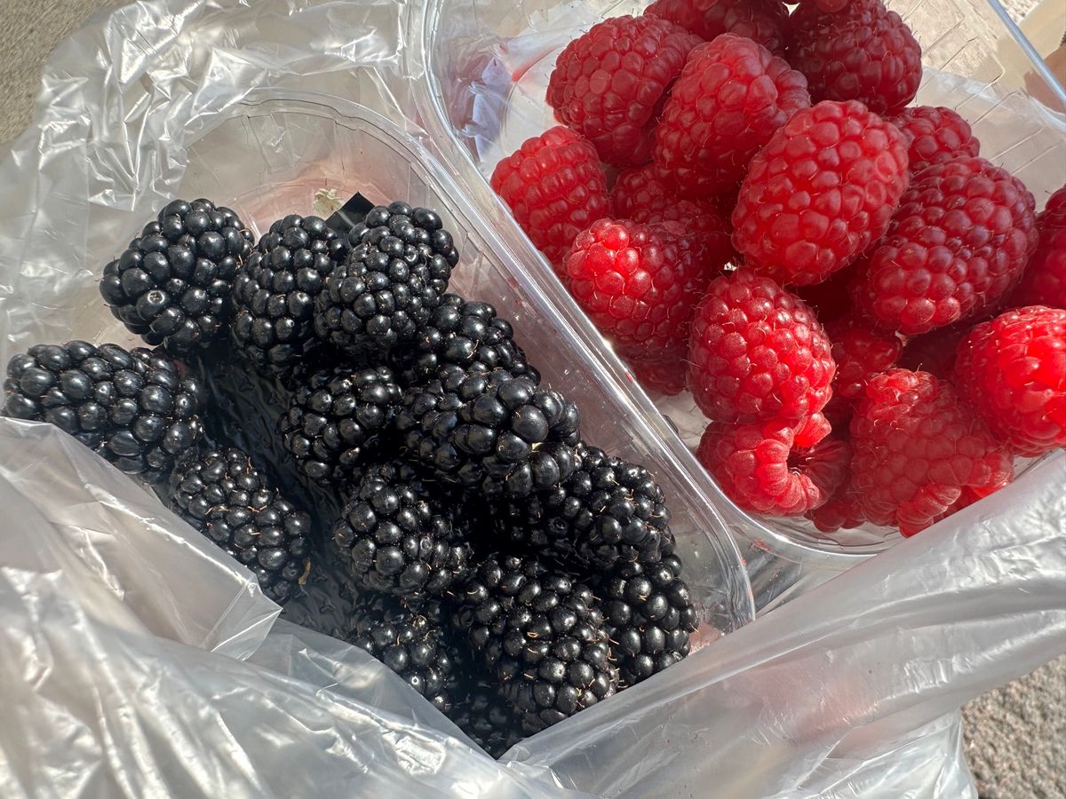 7/19 ヘルシンキグルメ⑵
Café Esplanadのサーモンスープと...