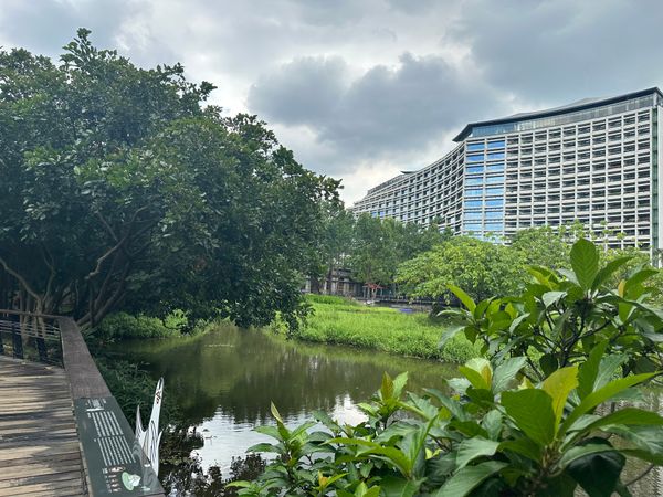 台湾「台湾旅行」の写真：6/21台北観光
松山文創園区でムーミン...