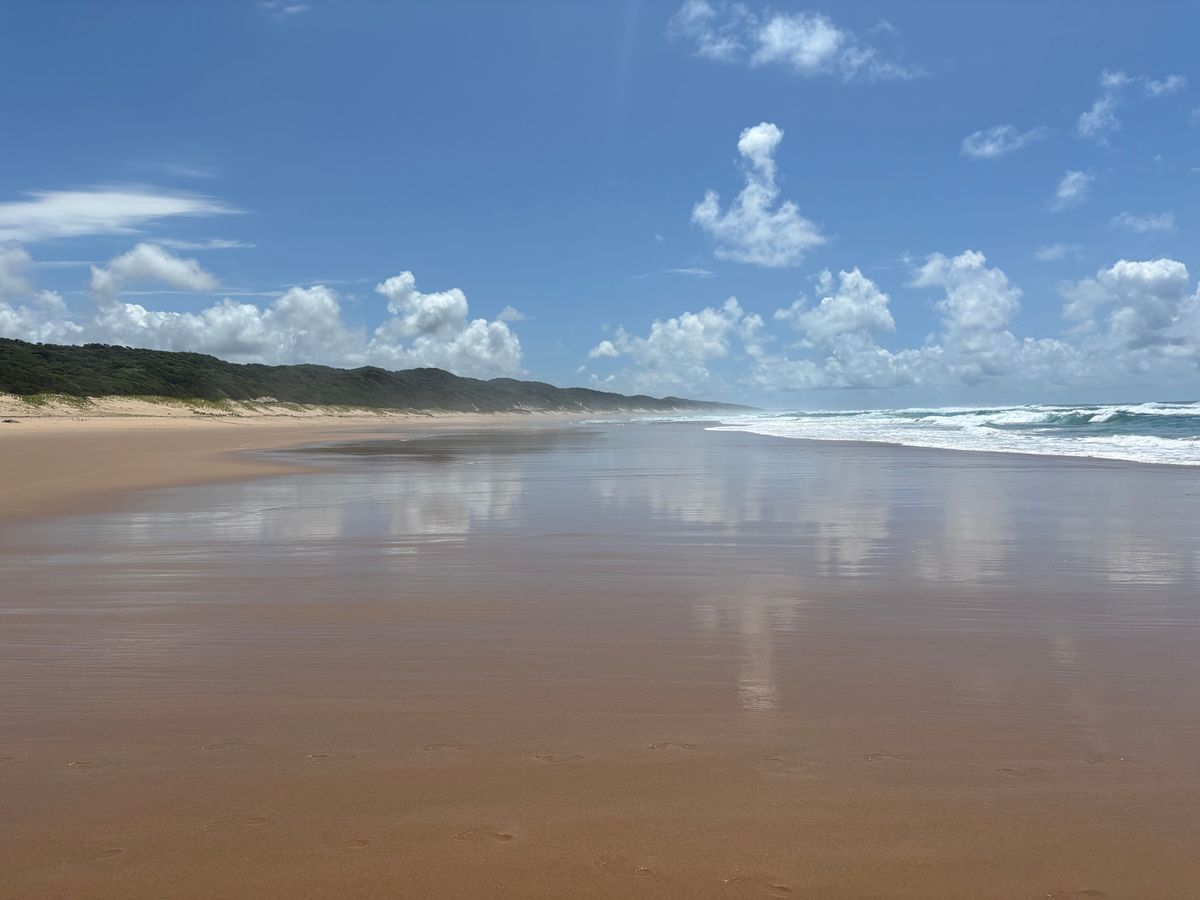 世界遺産になっているイシマンガリソ湿地公園のCoastal Forestへ...