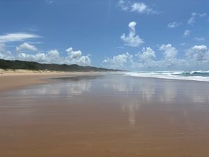 世界遺産になっているイシマンガリソ湿地公園のCoastal Forestへ...