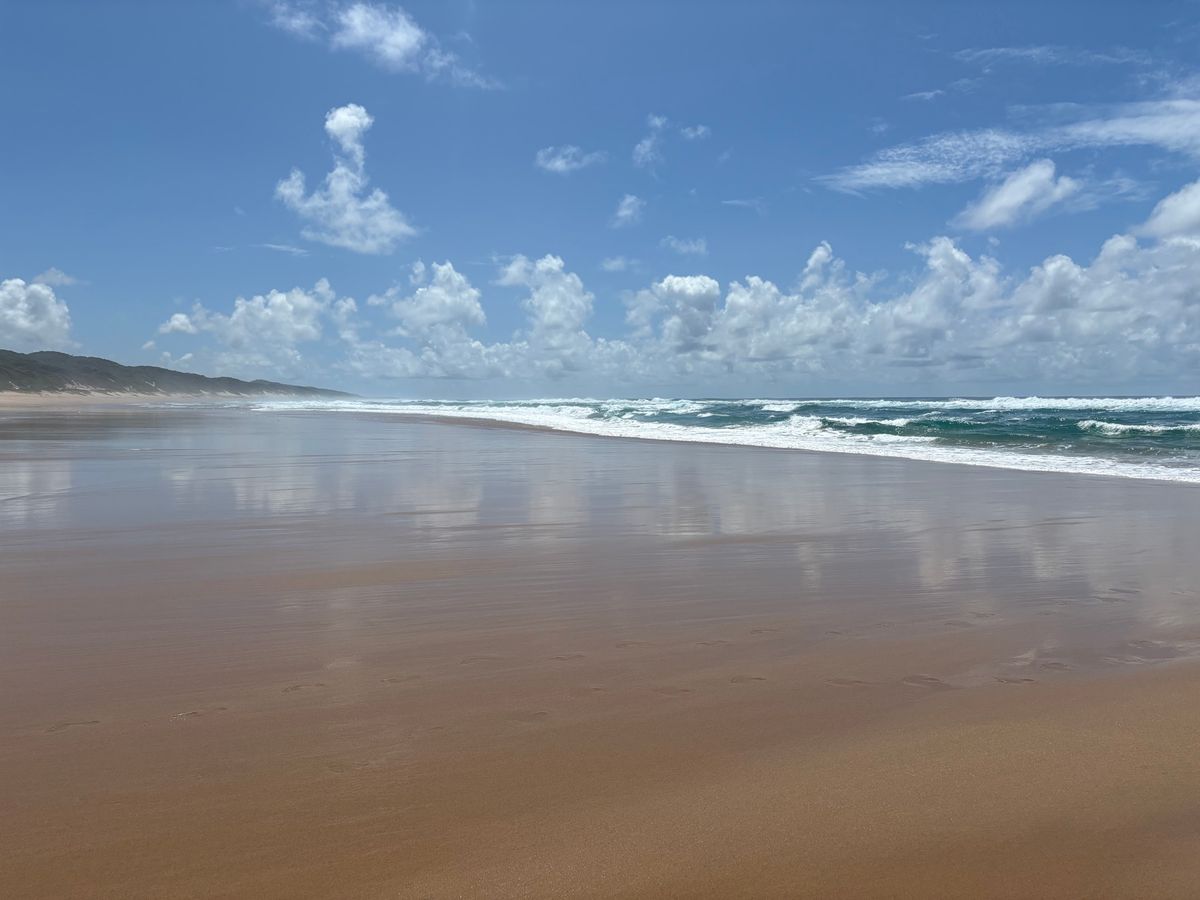 世界遺産になっているイシマンガリソ湿地公園のCoastal Forestへ...