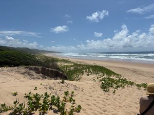世界遺産になっているイシマンガリソ湿地公園のCoastal Forestへ...